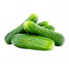 ENGLISH CUCUMBER 1KG - Hypa Africa