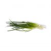 SPRING ONIONS 250G - Hypa Africa