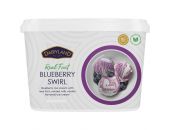 DAIRYLAND BLUEBERRY SWIRL ICE CREAM 4L - Hypa Africa