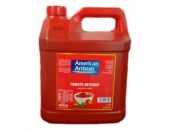 AMERICAN ARTISTAN TOMATO KETCHUP 5KG - Hypa Africa