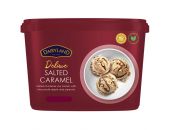 DAIRYLAND PREMIUM SALTED CARAMEL ICE CREAM 4L - Bulkbox Wholesale