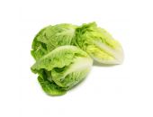 HARD LETTUCE GREEN 1PCS - Hypa Africa
