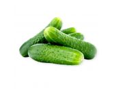 ENGLISH CUCUMBER 1KG - Hypa Africa