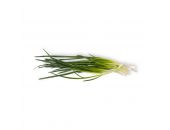 SPRING ONIONS 250G - Hypa Africa
