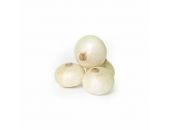 ONIONS WHITE 1KG - Hypa Africa