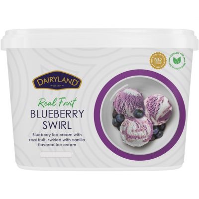 DAIRYLAND BLUEBERRY SWIRL ICE CREAM 4L - Hypa Africa