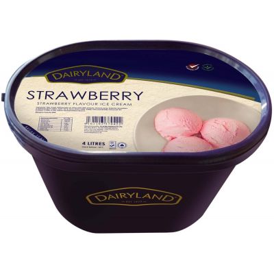 DAIRYLAND STRAWBERRY ICE CREAM 4L - Bulkbox Wholesale