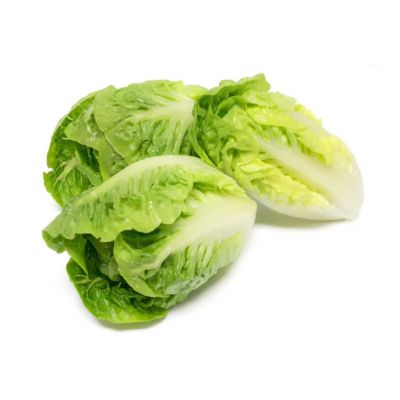 HARD LETTUCE GREEN 1PCS - Hypa Africa